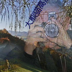 大熊貓高清圖片