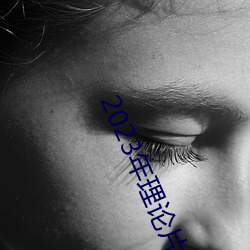 2023年理论片电线
