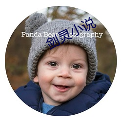劍靈小說