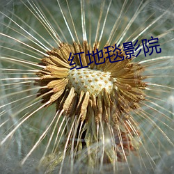 紅地毯影院