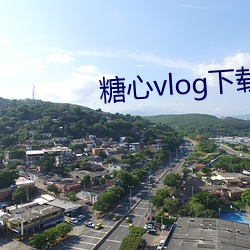 糖心vlog下载