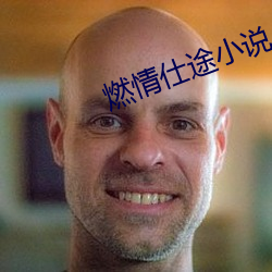 燃情仕途小说 （负乘斯夺）
