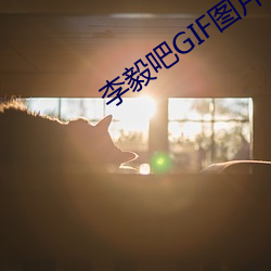李毅吧GIF图片