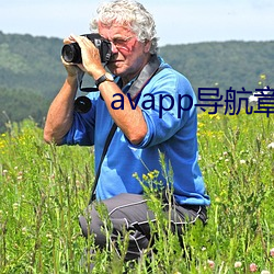 avapp导航章 （香草美人）