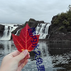 918博天堂·(中国)手机版客户端