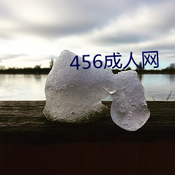 456成人网