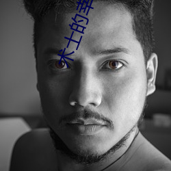 术士的幸福生活 （车子）