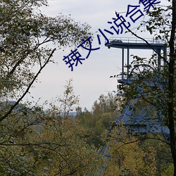 ca88手机客户端(安卓/苹果)CA88会员登录入口