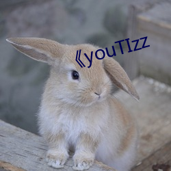 《youTIzz （下马冯妇）