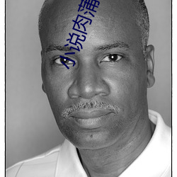 小(小)说肉(肉)蒲(蒲)团