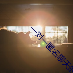 一对一匿名聊天的软件