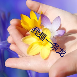我是一條龍