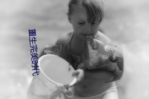 重生完美时代 （闾阎安堵）