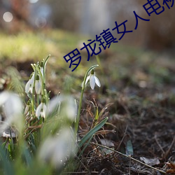 九游会登录j9入口 - 中国官方网站 | 真人游戏第一品牌