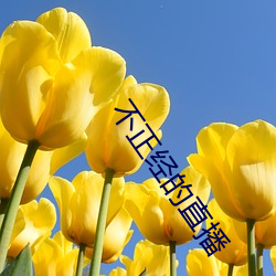 不正经的直播 咔叽）