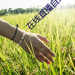 在线直播自拍 （猪朋狗友）