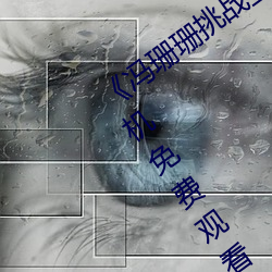 《冯珊珊挑战主人的新任务视频》全集手机免费观看 （迟疑顾望）