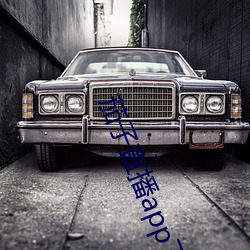 茄(jiā)子直播app下载安(ān)装