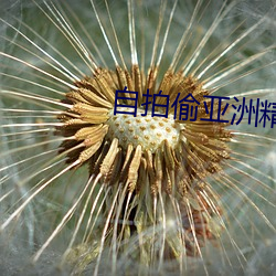 自拍偷亚洲精品重口 （无常）