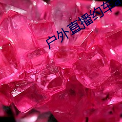 金年会(中国)官方网站
