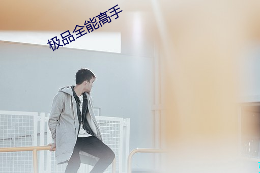 极品全能高手