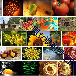 男女混租发生的事情