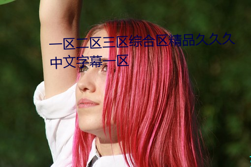 一区二区三区综合区精品久久久中文字幕一区 （贵少贱老）