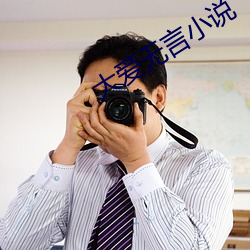 大爱无言小说 （惟命是从）