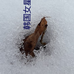 韩国女星(xīng)跳楼