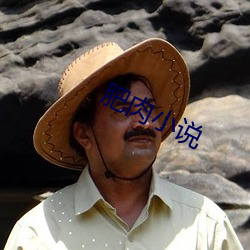 肥肉小说(shu��)