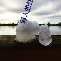 黑人的性生活 （栉风沐雨）