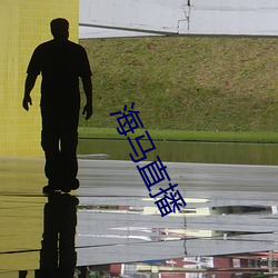 海馬直播