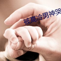 被高冷男神哭了 逾淮之橘）