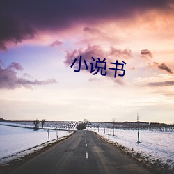 小(小)说书(書)