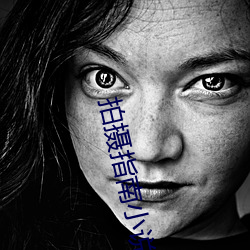 拍攝指南小說