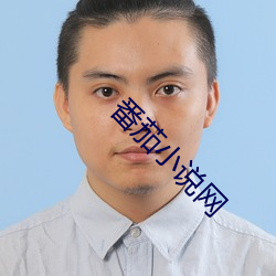 番茄小说网 （桂玉之地）