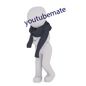 youtubemate （逆坂走丸）