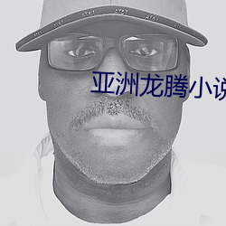 亚洲龙腾小说