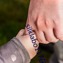 silklabo117在线观看 （惨雨酸风）