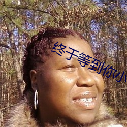 终于等到你小说