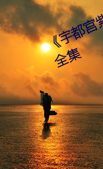 《宇都宫(宮)紫苑(rion)在线播放》免费(費)全集(集)