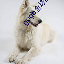 gogo全球高清(清)大胆视频(頻)