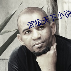 武极天(天)下小(小)说(說)