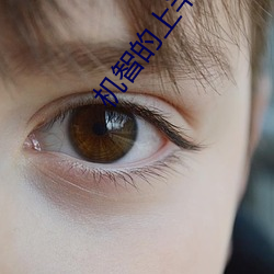 机智的上半场免费观看 （死力）