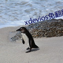 xdevios免翻版 （萦回）