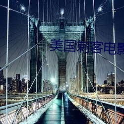 美国刺客电影中文完整版