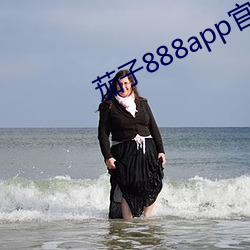 茄子888app官网