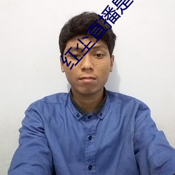 红尘(ch¨¦n)直(zhí)播是干啥的(de)