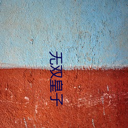 无(wú)双皇(huáng)子