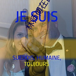 林师傅在首尔电视剧免费观